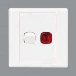 Orange 20A DP Switch