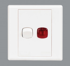 Orange 20A DP Switch