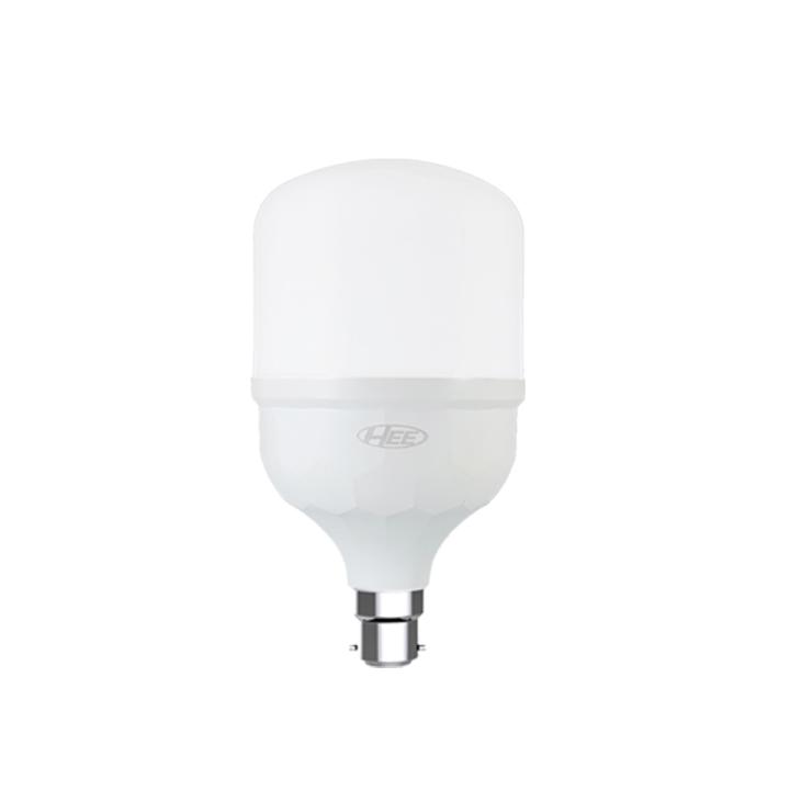 HEE LED Bulb 30W - Pin