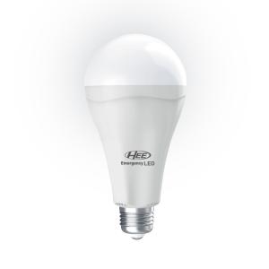HEE Emergency 10 Watt LED Lamp - Thread