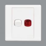 Orange 20A DP Switch